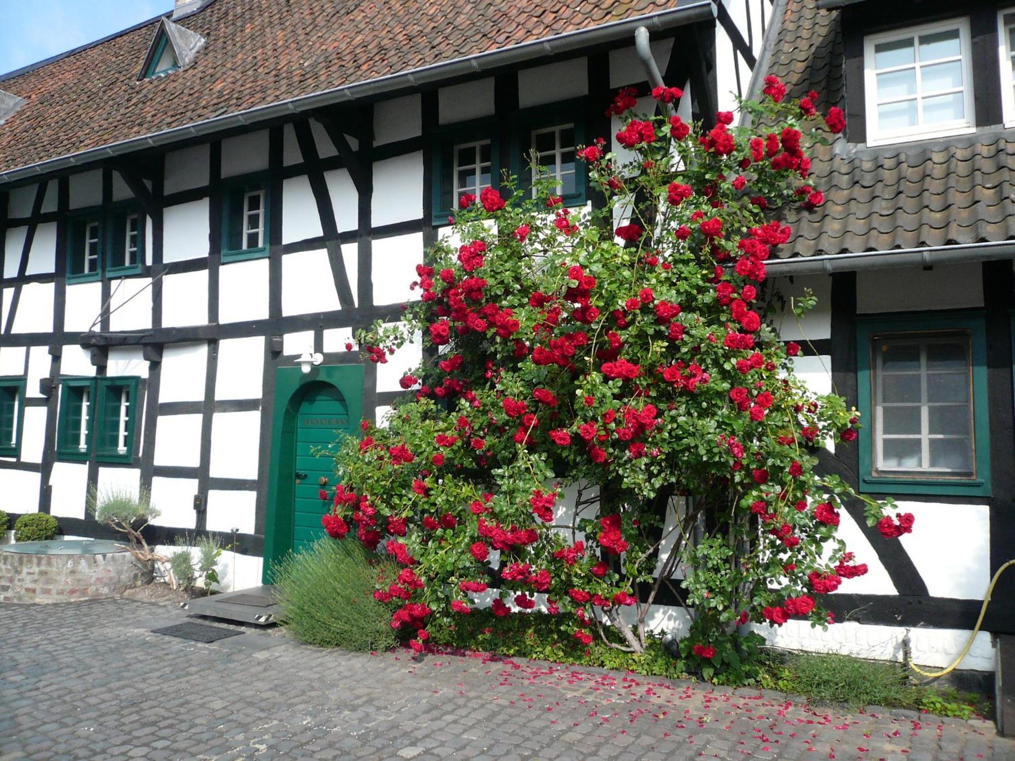 Falderhof Кельн Екстер'єр фото
